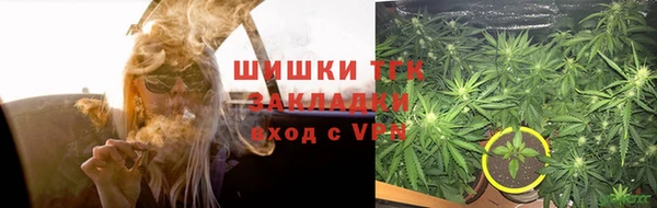 ГАЛЛЮЦИНОГЕННЫЕ ГРИБЫ Балабаново