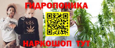 стафф Дубна