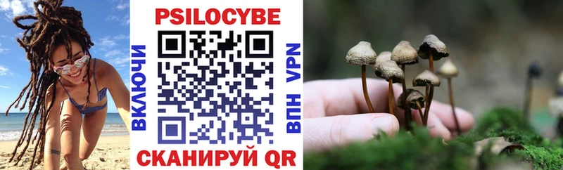 Галлюциногенные грибы Cubensis  Ульяновск 